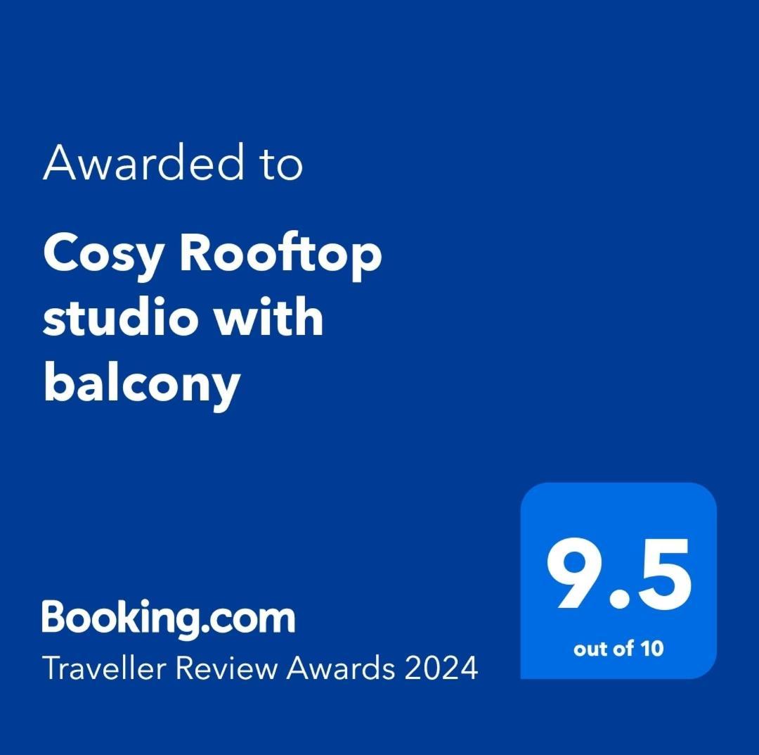 Cosy Rooftop Studio With Balcony 贝尔格莱德 外观 照片